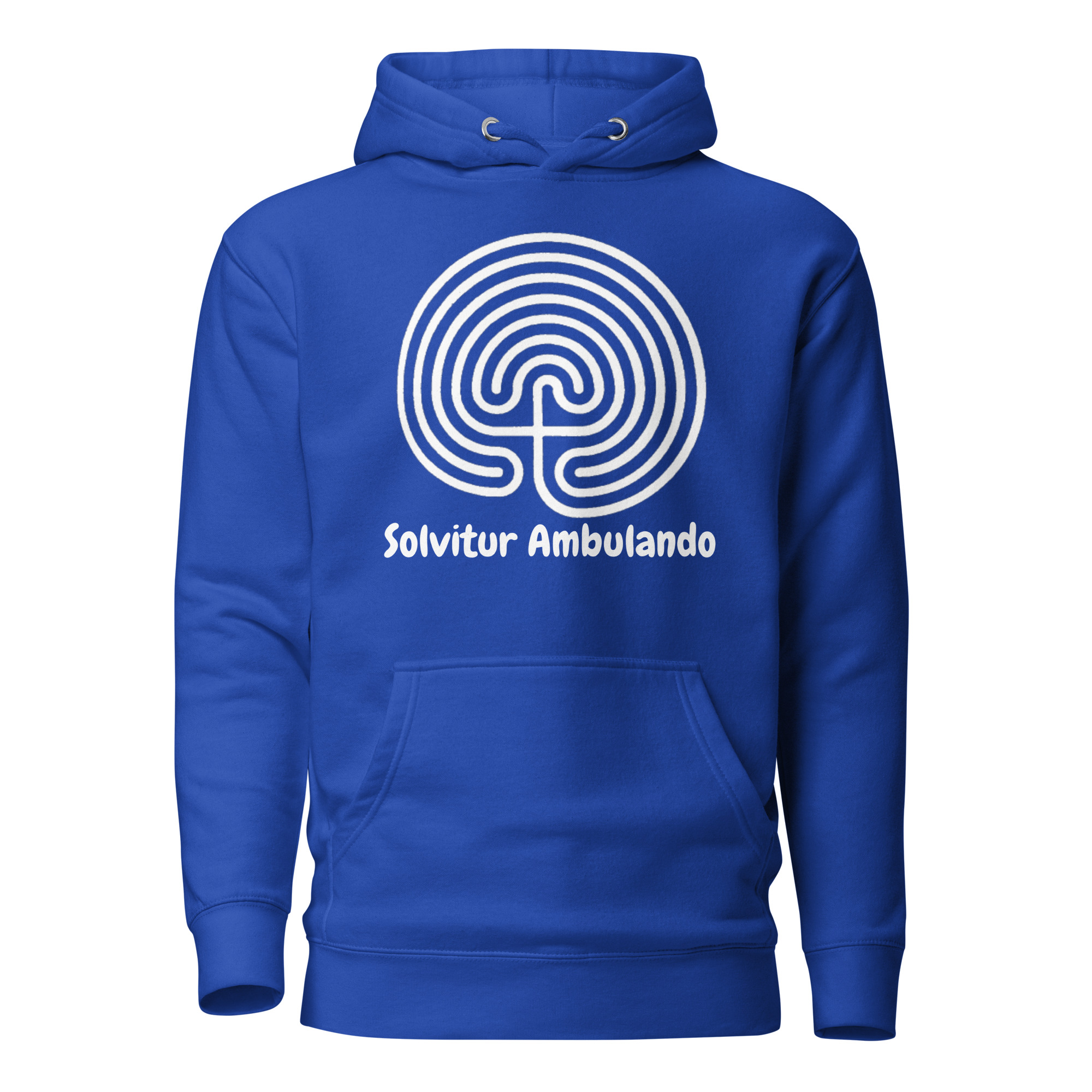 cotton-heritage-m2580-i-unisex-premium-pullover-hoodie-team-royal-front-6920a2bea583f.jpg