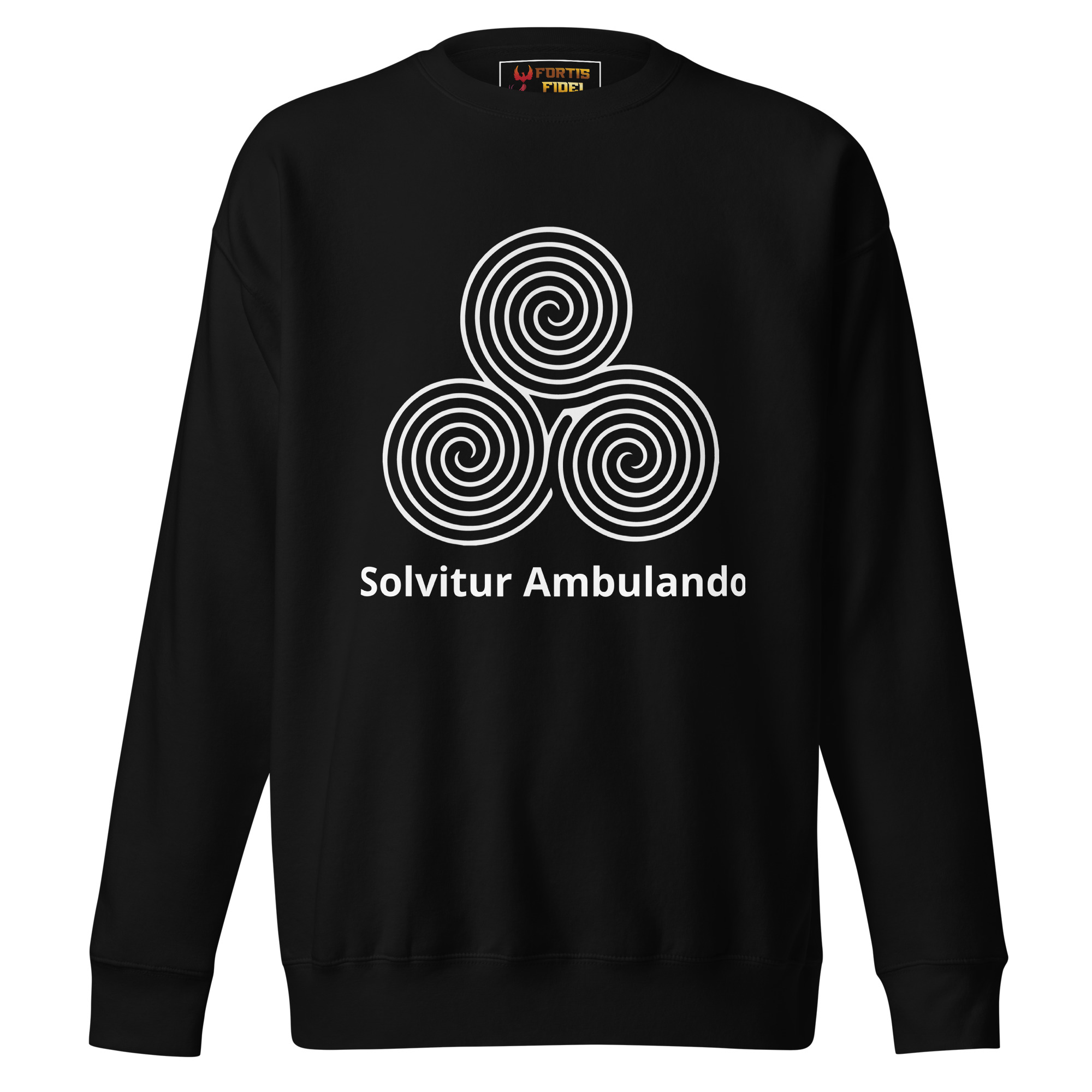 unisex-premium-sweatshirt-black-front-691ec8552a546.jpg