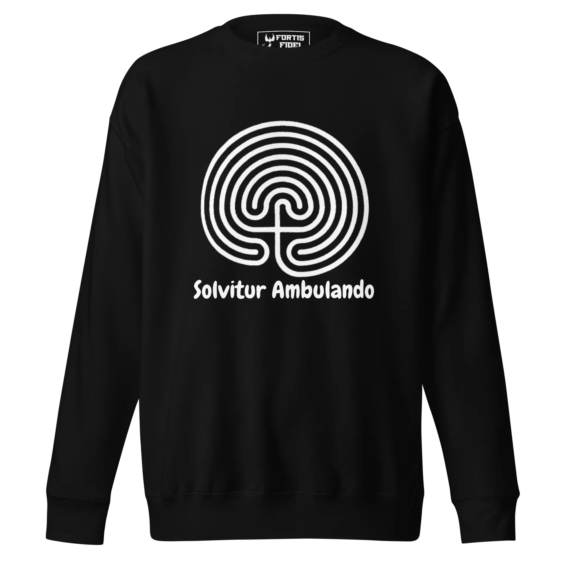 unisex-premium-sweatshirt-black-front-6920a2a203c54.jpg