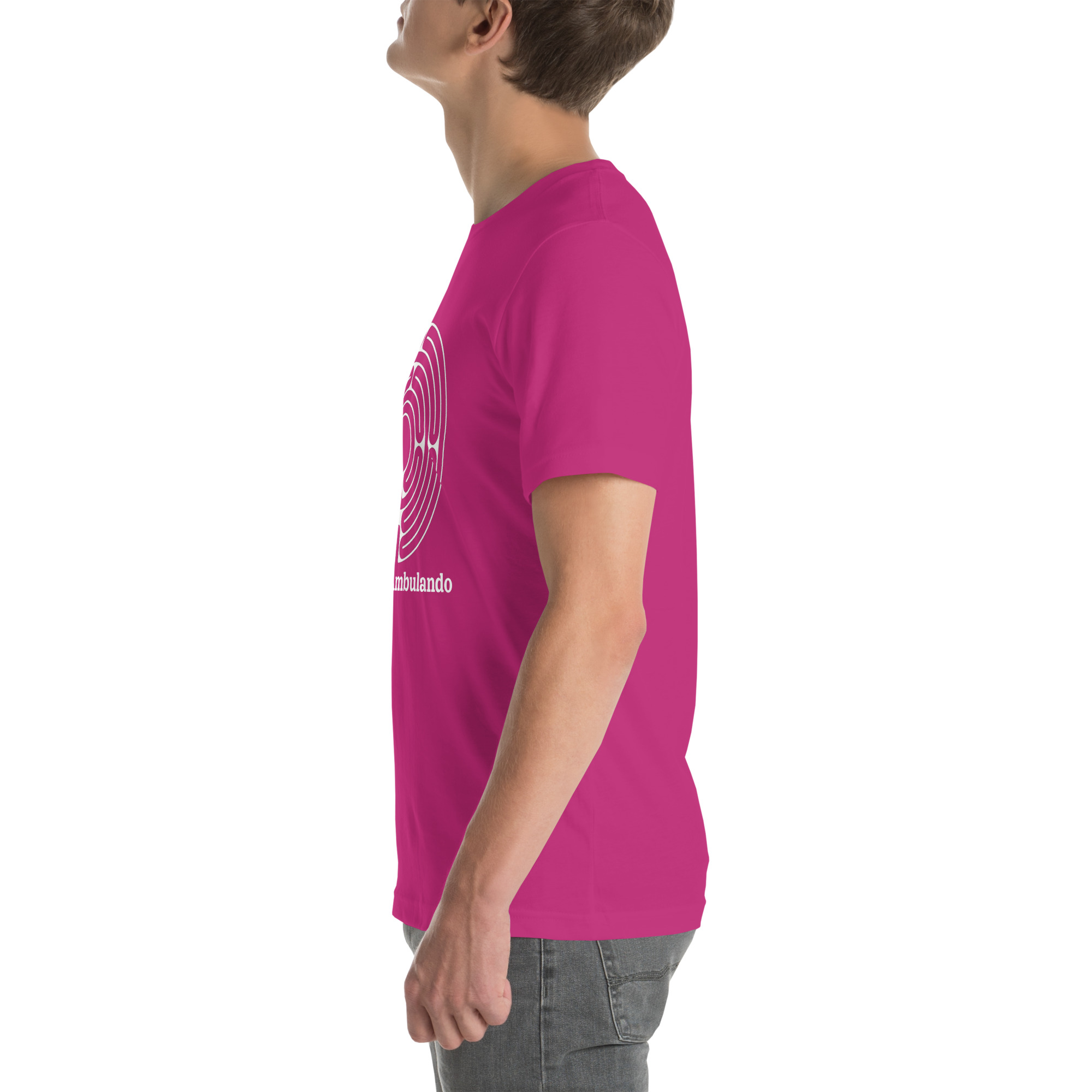 unisex-staple-t-shirt-berry-left-691eced08faae.jpg