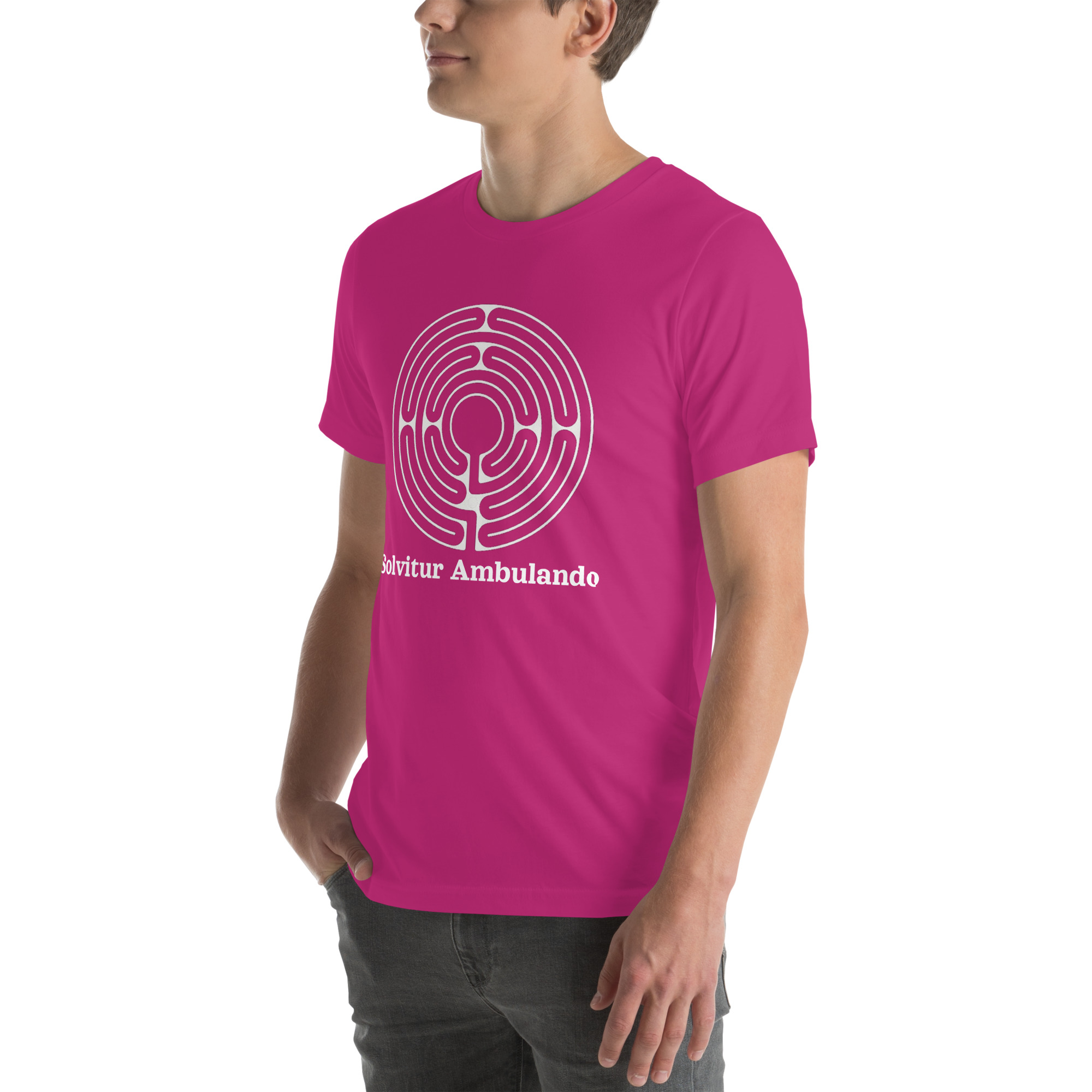 unisex-staple-t-shirt-berry-left-front-691eced0a46c7.jpg