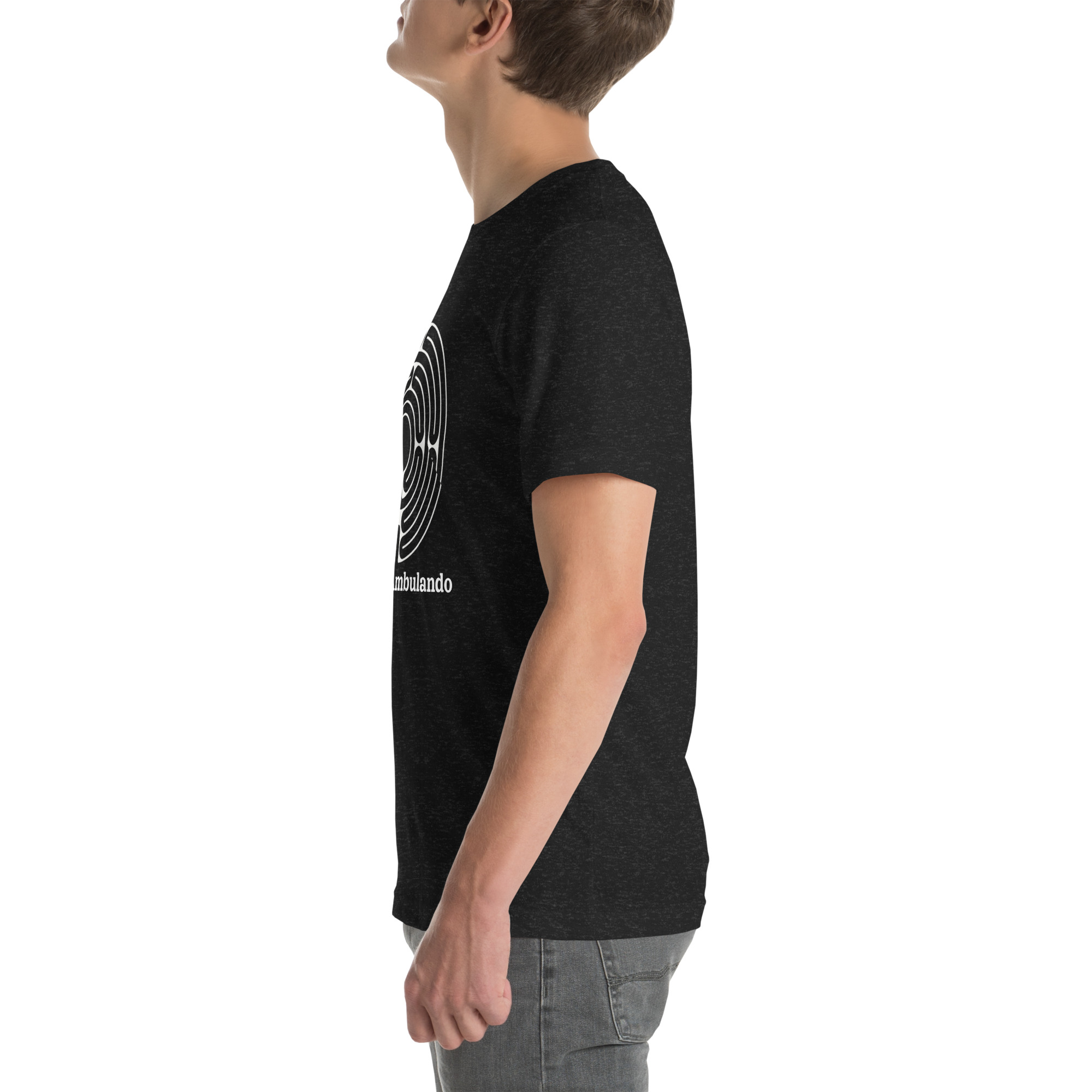 unisex-staple-t-shirt-black-heather-left-691ecece699c3.jpg