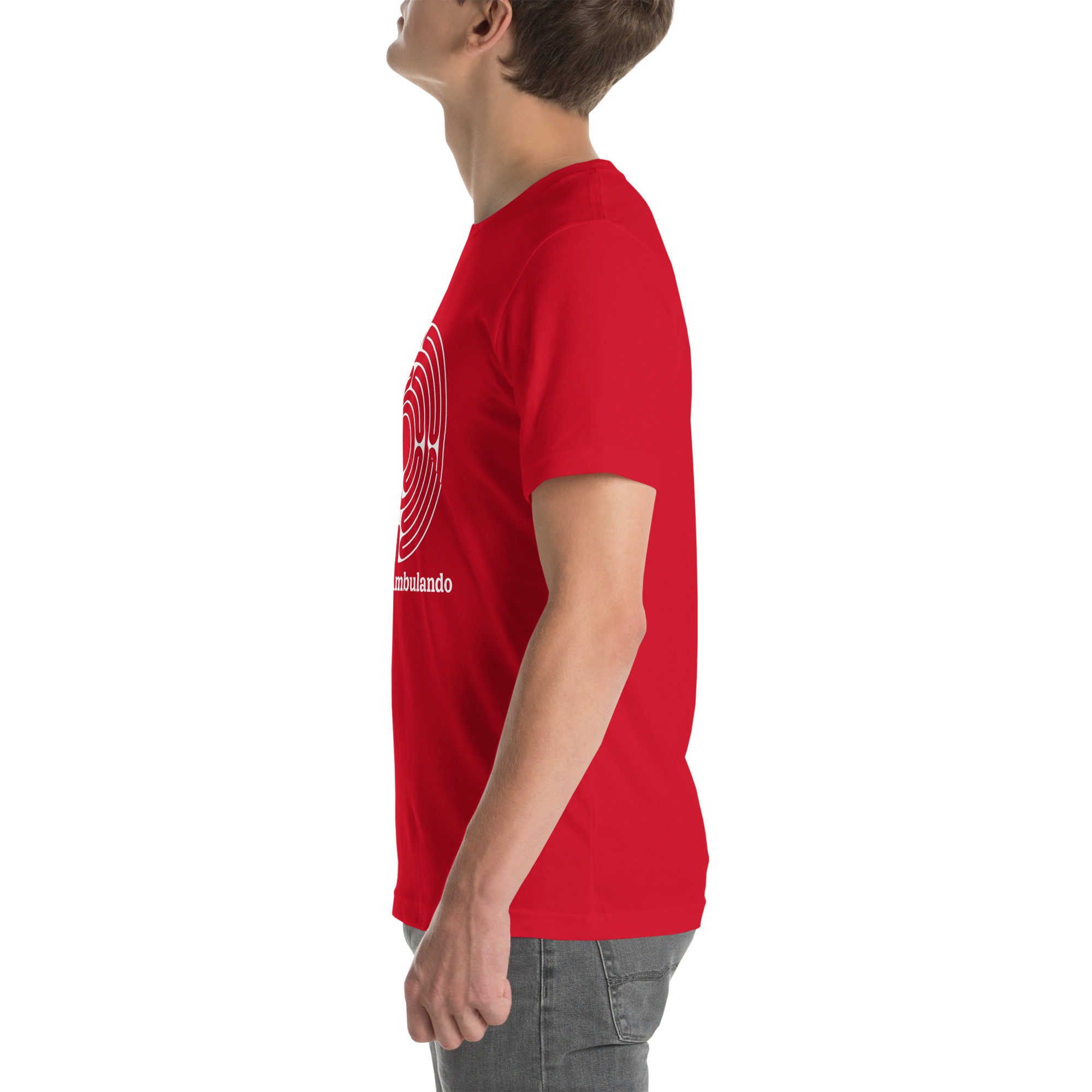 unisex-staple-t-shirt-red-left-691ececfa0717.jpg