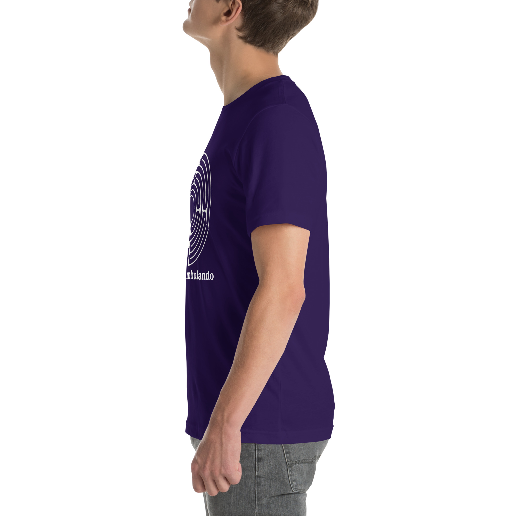 unisex-staple-t-shirt-team-purple-left-691ecece86a93.jpg