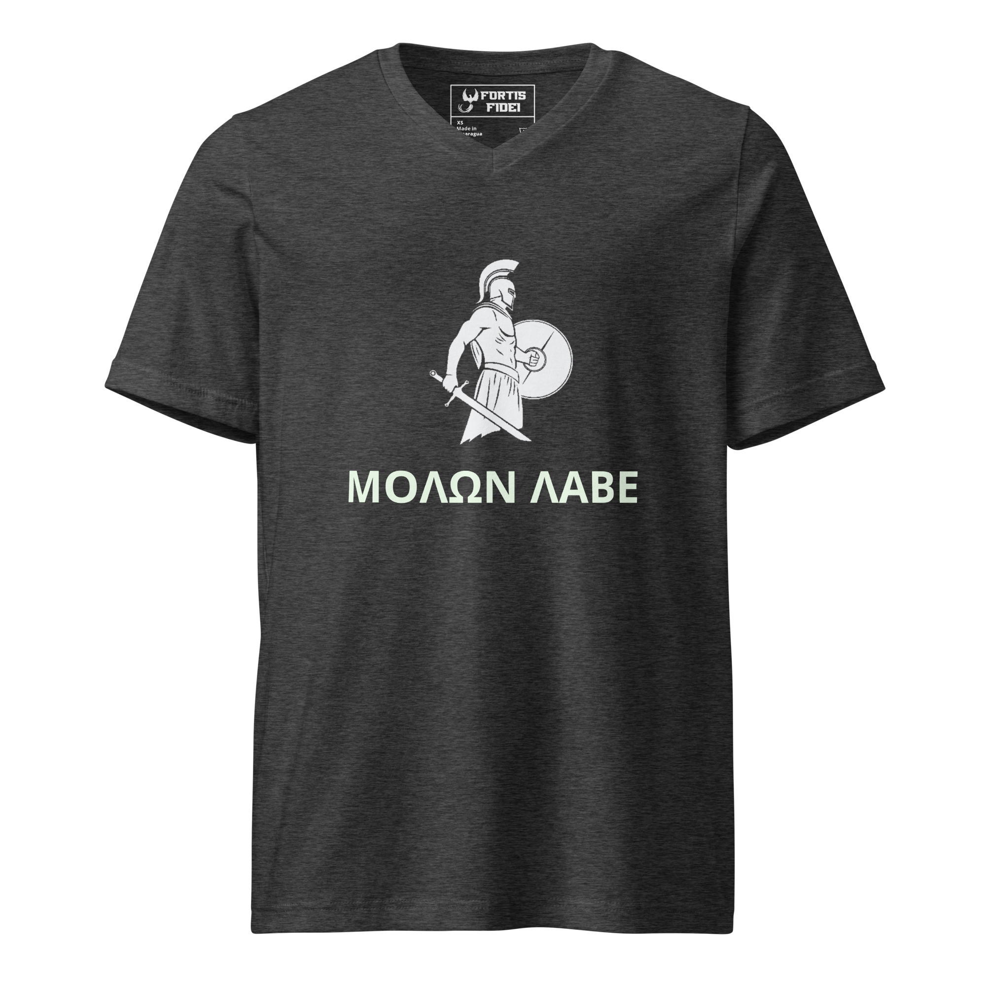 unisex-v-neck-tee-dark-grey-heather-front-6920cda71fd98.jpg