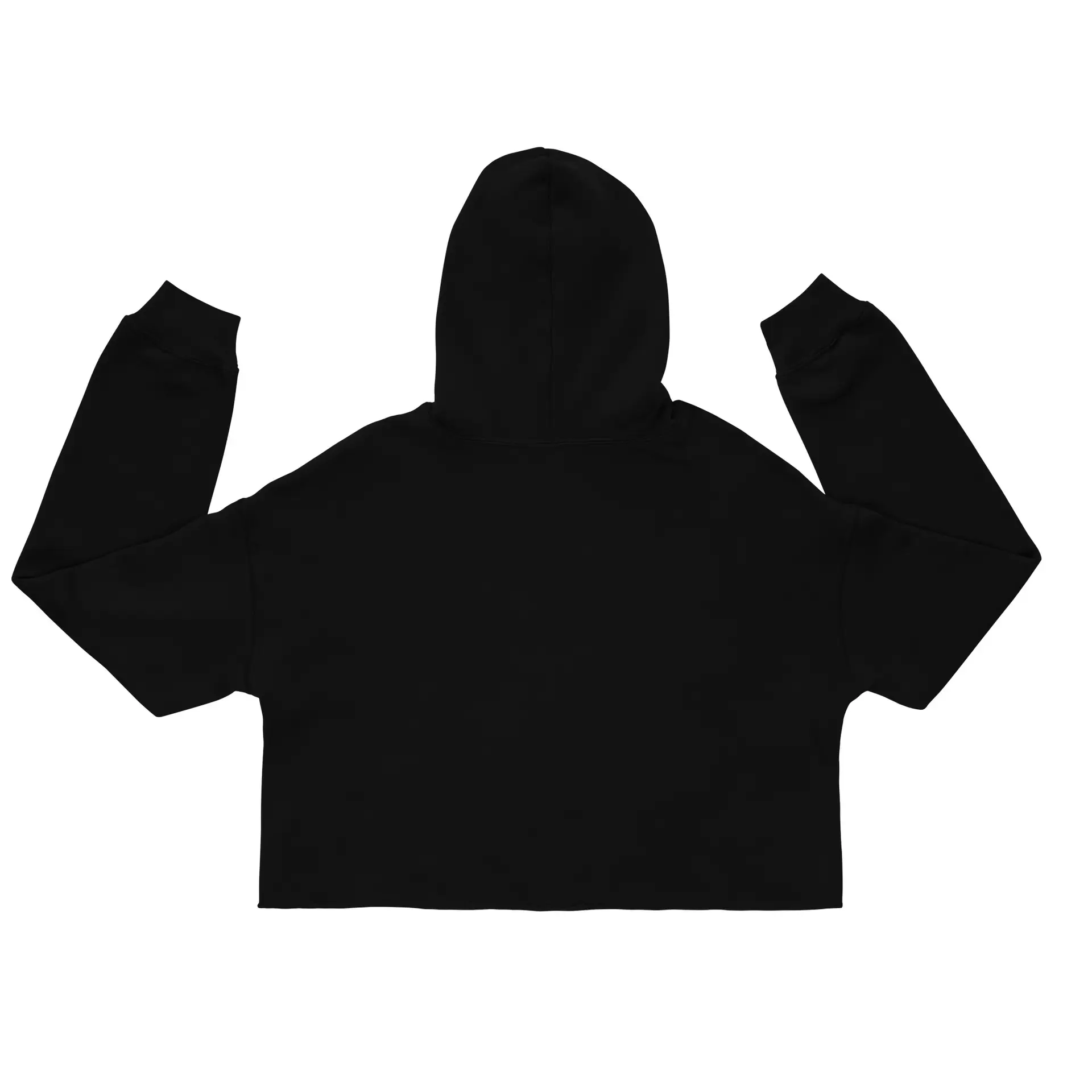 Labyrinth Santa Rosa Labyrinth Crop Hoodie