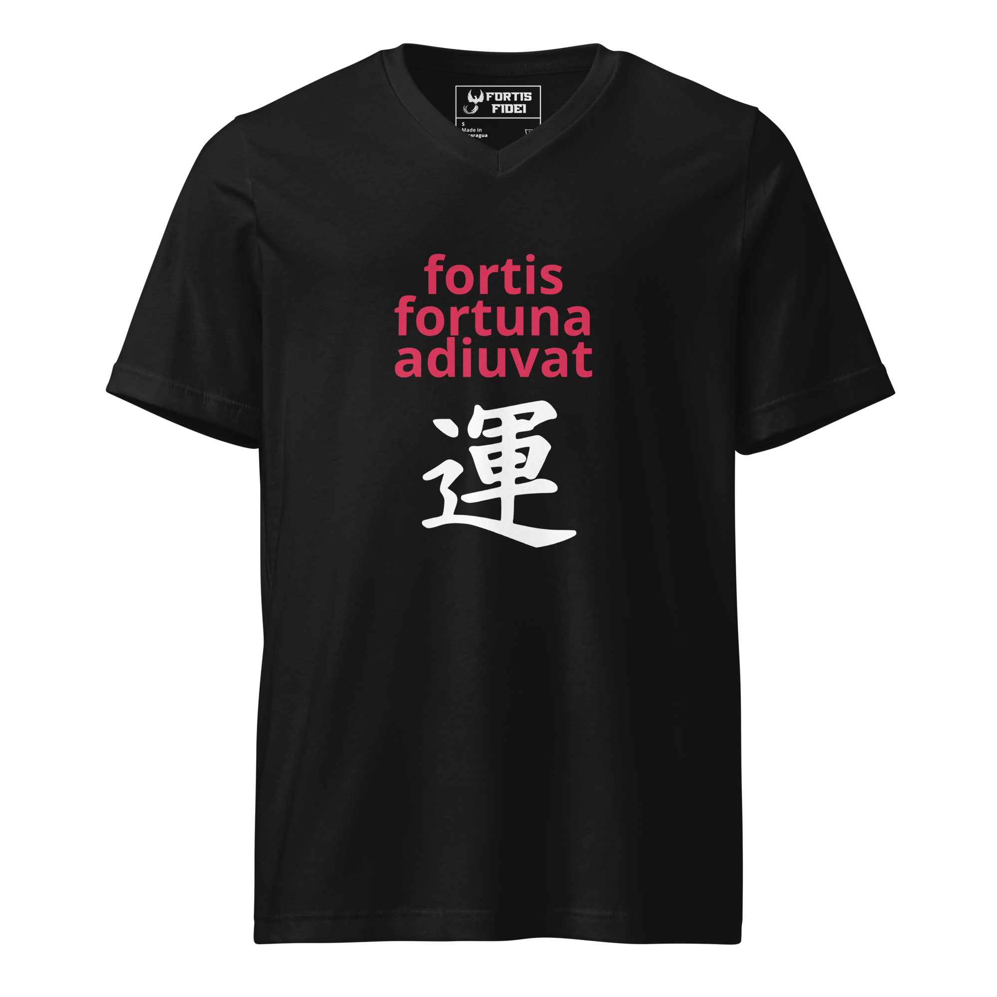 unisex-v-neck-tee-black-front-693b083f79c94.jpg