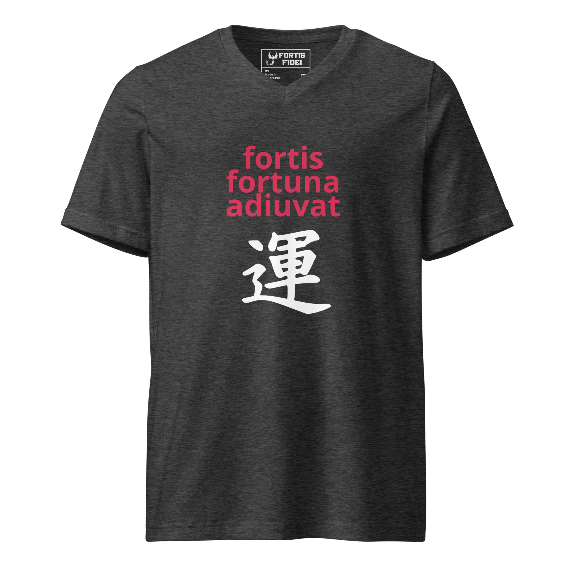 unisex-v-neck-tee-dark-grey-heather-front-693b083f7b603.jpg