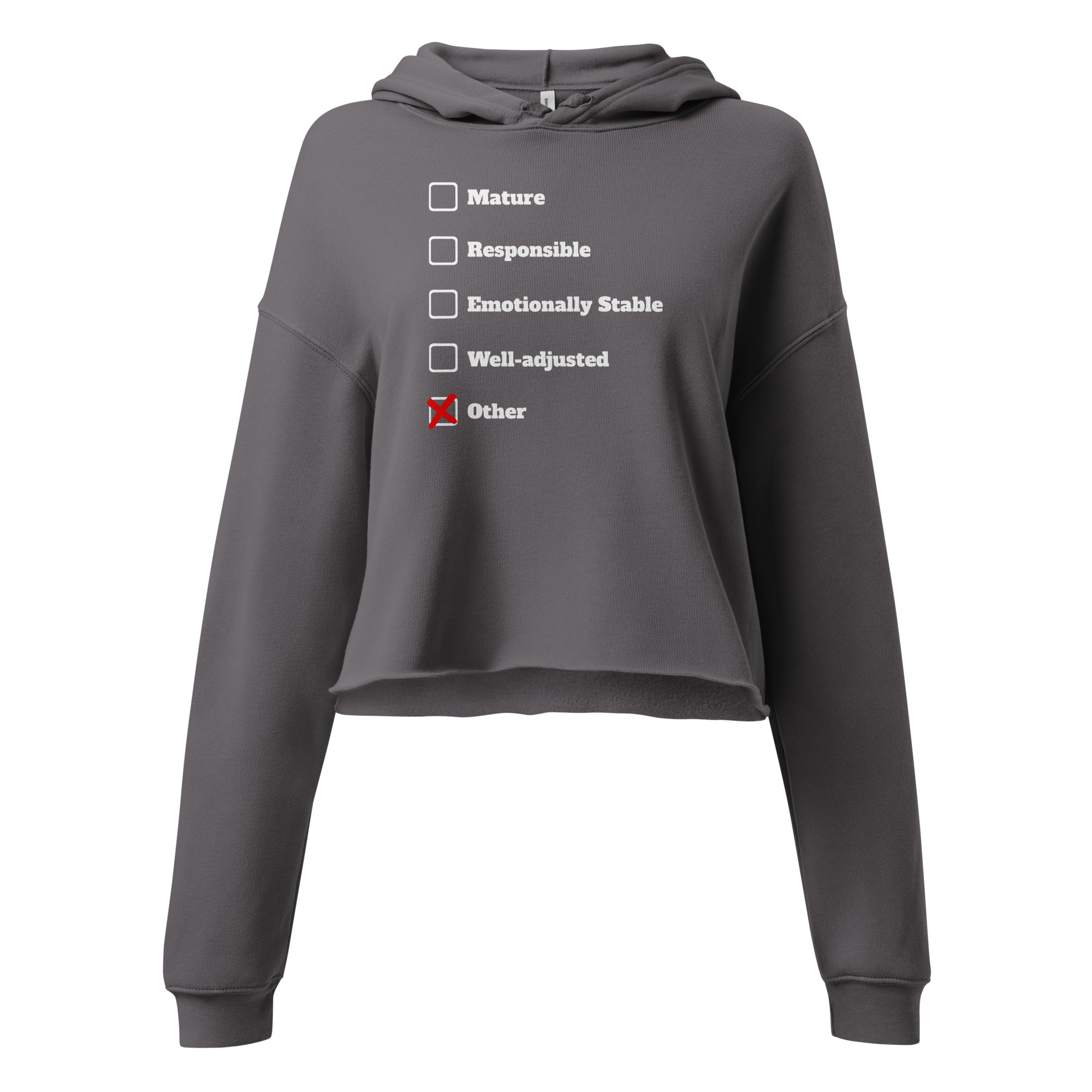 womens-cropped-hoodie-storm-front-693a5f3aae8a8.jpg