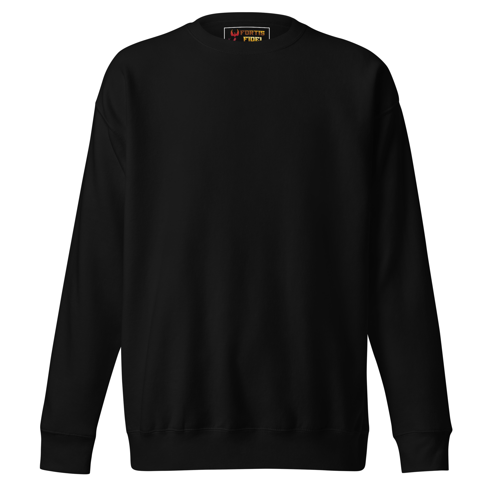 unisex-premium-sweatshirt-black-front-696e2e5d75485.jpg