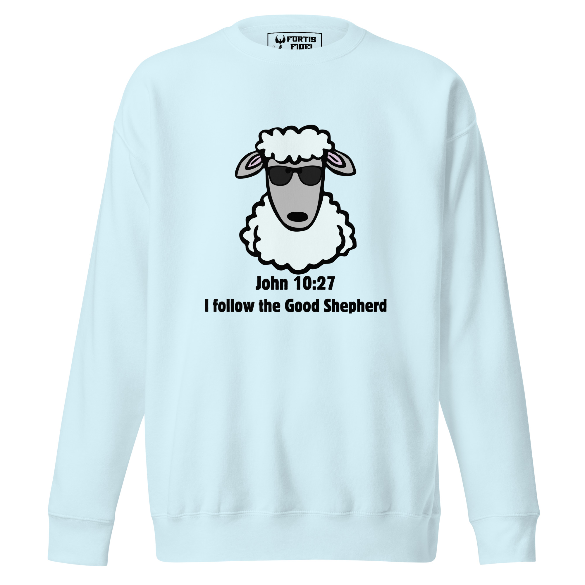 unisex-premium-sweatshirt-sky-blue-front-696918b1a867e.jpg