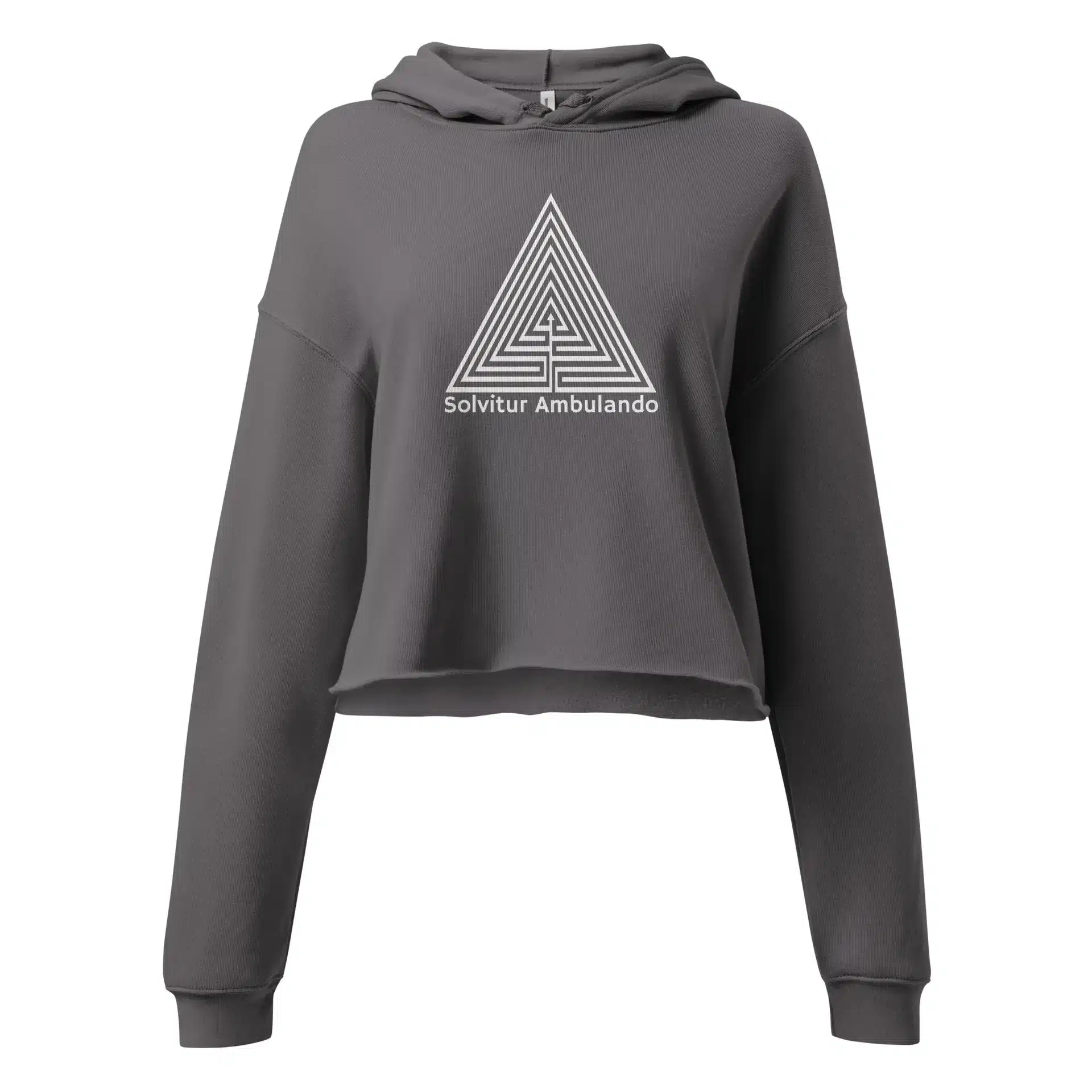 womens-cropped-hoodie-storm-front-696a75cb93667.jpg