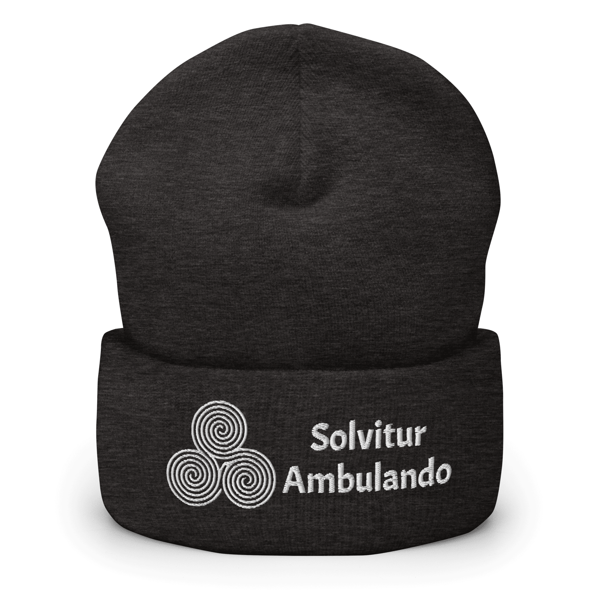 cuffed-beanie-dark-grey-front-6a47e9944be04.png